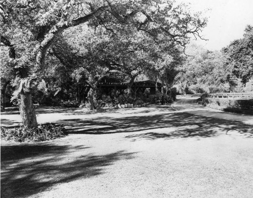 English Oaks, Arcadia