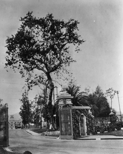 Forest Lawn's entry gate