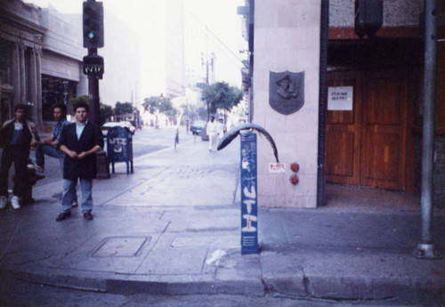 Fish on street pole