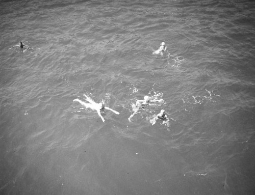 Swimmers near Avalon