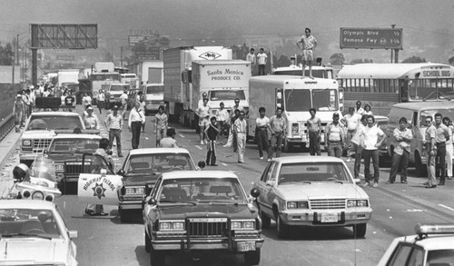 Overturned cattle trailer on the Long Beach Freeway