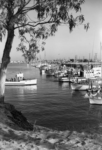 Sailing in the marina, view 2