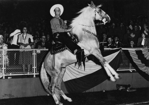 Western show rider