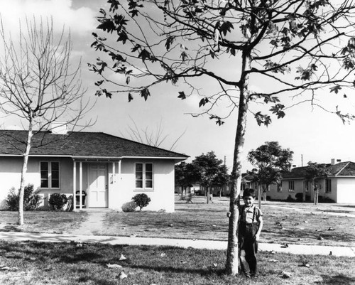 Avalon Gardens housing project