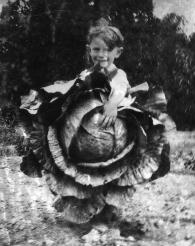 Boy with huge cabbage