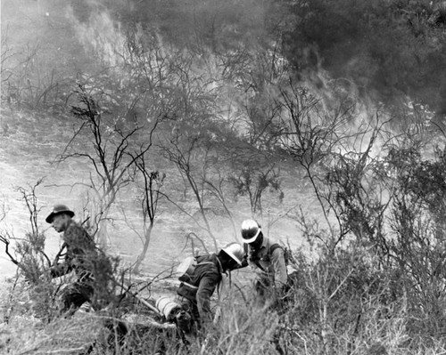 Firemen cut brush to slow Bouquet Canyon fire