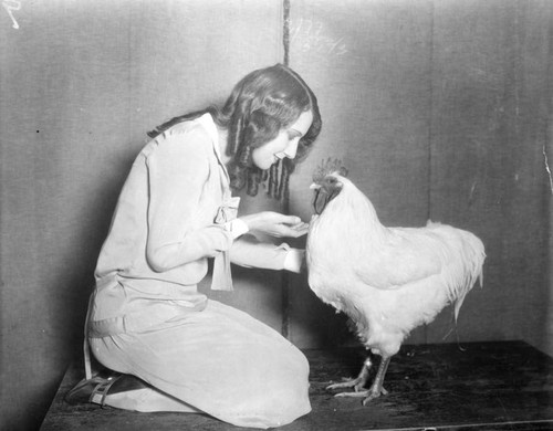 Rooster adored by woman with ringlets