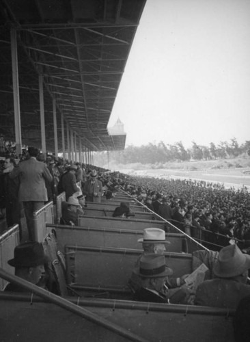 Box seats, Santa Anita Racetrack