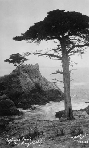 Cypress Point, Monterey, California