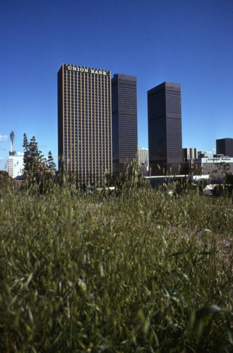 Downtown Los Angeles