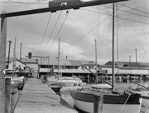 Yachts docked in the harbor