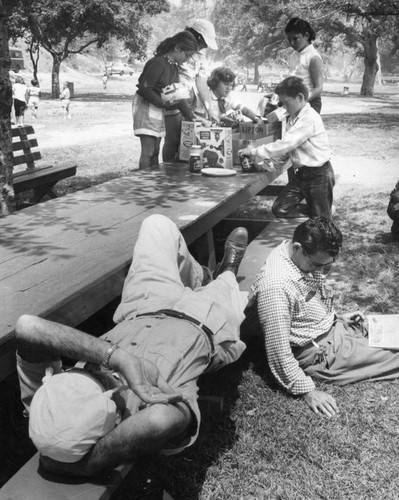 Picnic places aplenty pervade park