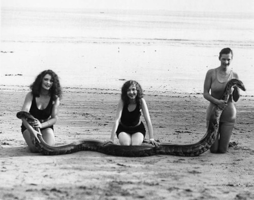 Holding a snake on the beach