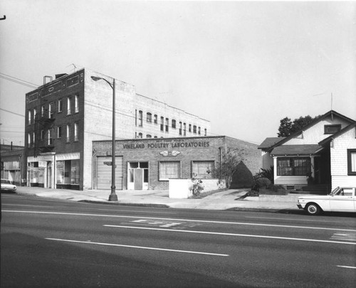 Vineland Poultry Laboratories