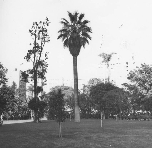 Pershing Square, view 2