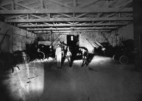 Man with a horse in a carriage warehouse