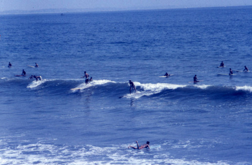 Surfers in Malibu