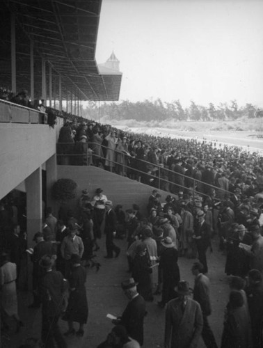 Leaving Santa Anita Racetrack