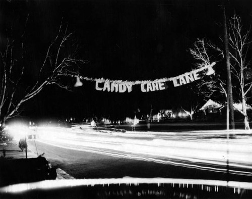 Candy Cane Lane lights up