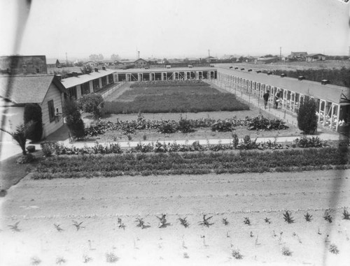 Runnymede Poultry Farm