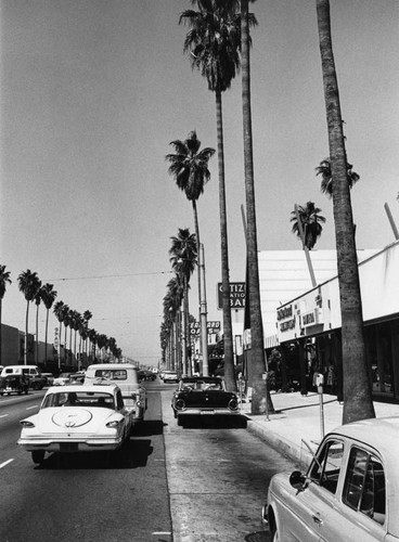 Van Nuys Blvd., looking north