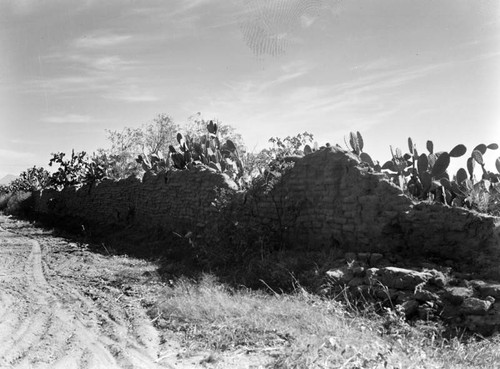 San Fernando Mission wall