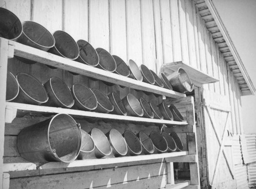 Milk pails wait at the barn door