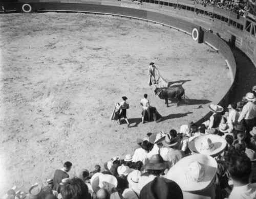 Toreros and banderilleros, El Toreo de Tijuana