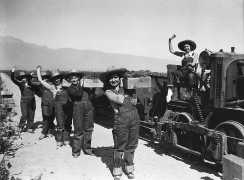 Women working in Gausti vineyard, view 12