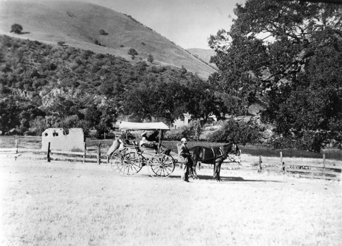 Horse drawn carriage in a field