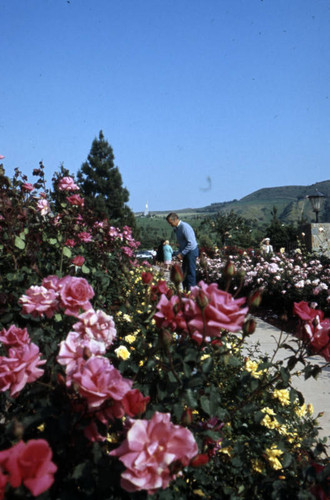 Rose Hills Memorial Park, Whittier