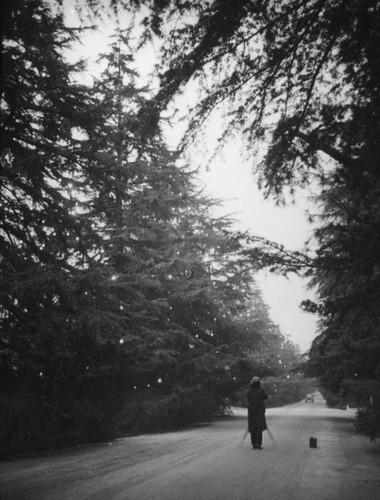 Taking a photograph on Christmas Tree Lane in Altadena