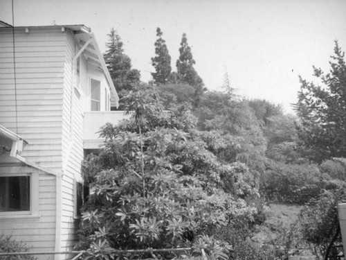 Schultheis home and hillside, Hollywood Hills