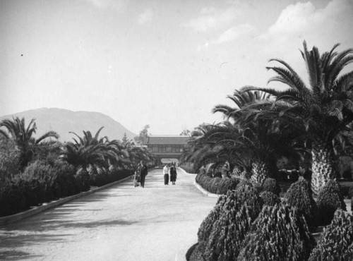 Japanese gardens, Bernheimer Estate, Pacific Palisades