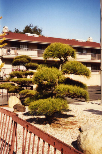 Konko Church of Gardena, view 4