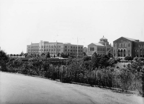 View of U.C.L.A. campus from across the arroyo