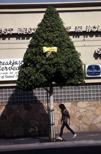 Hollywood Walk of Fame