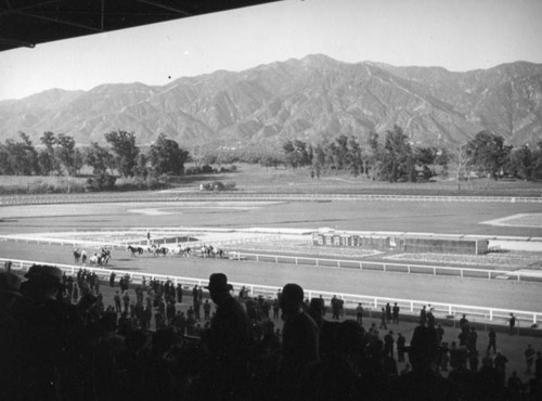 Horses on the track, Santa Anita Racetrack