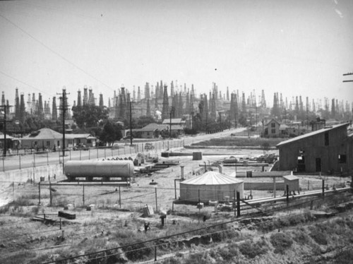 Signal Hill oil field