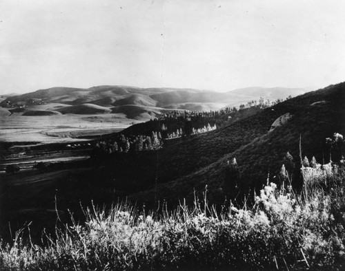 Panoramic view of Eagle Rock, view 20