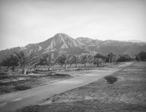 Ripples Date Farm, Indio