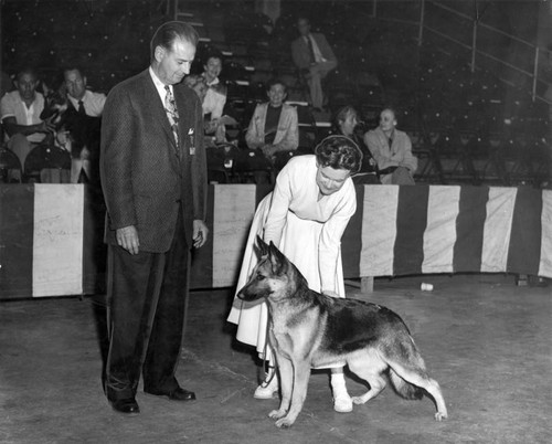 Dog show winner