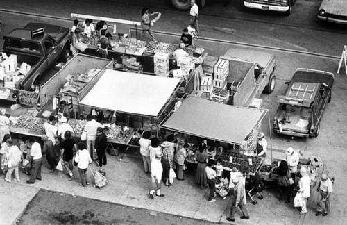 Farmer's market in Santa Monica, a view