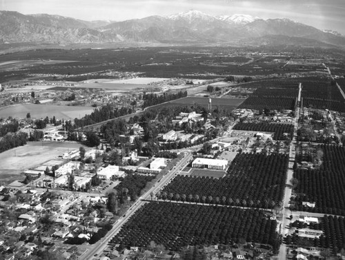 College of Medical Evangelists, Loma Linda, looking east