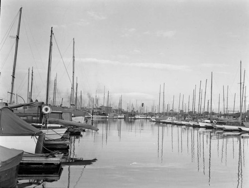 Yachts docked in the harbor