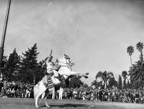 Tournament of Roses parade