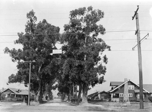 Glendale street and homes