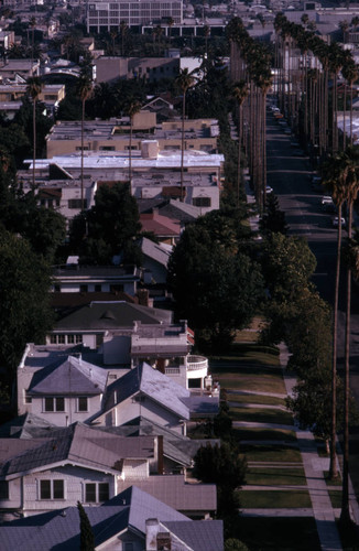 Taft Avenue, Hollywood