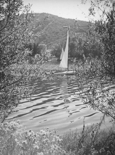 Sailboats at Malibu Lake