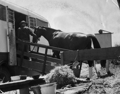 Farewell to Seabiscuit